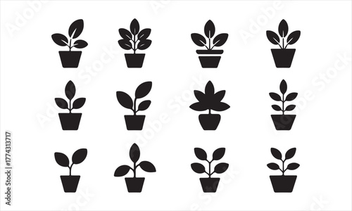 Set of potted plant silhouette icons on white
