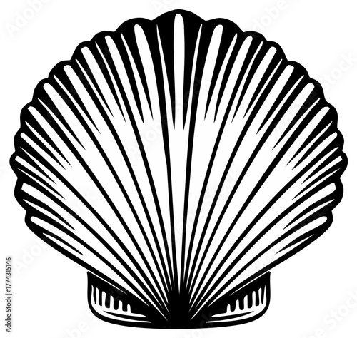 Stylized scallop shell vector illustration. Black and white marine life line art icon.