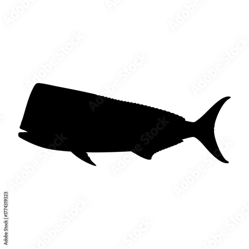 Mahi Mahi Dolphinfish Silhouette Vector