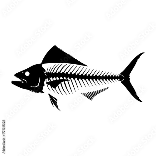 Mahi Mahi Skeleton Silhouette Vector