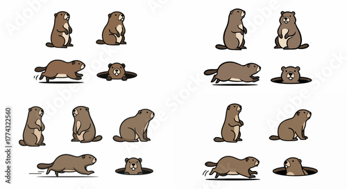Groundhog poses and actions with transparent background