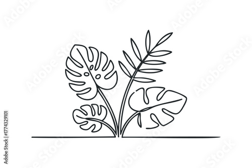 Abstract Line Drawing of Tropical Leaves