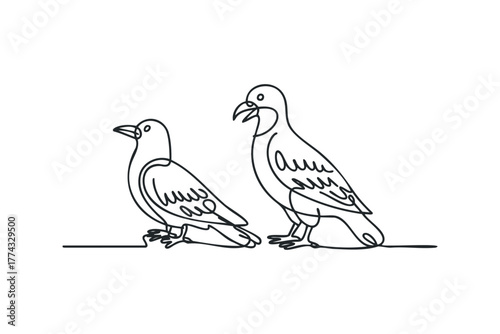 Two birds drawn with a single continuous line