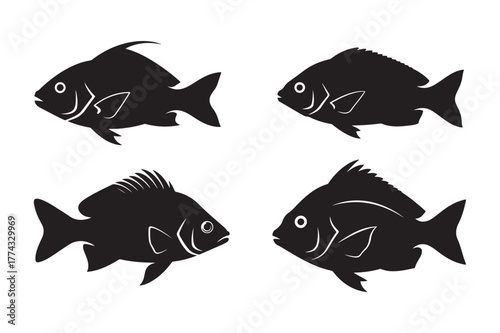 Fish silhouette vector illustration, Set of Fish silhouette vector 