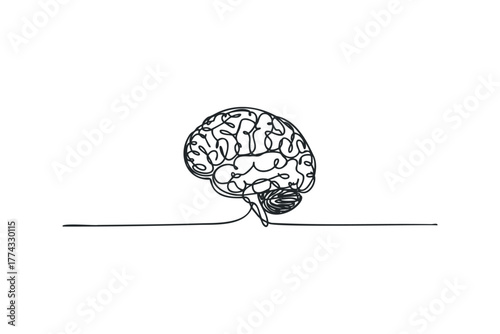 Line drawing of human brain with cerebellum