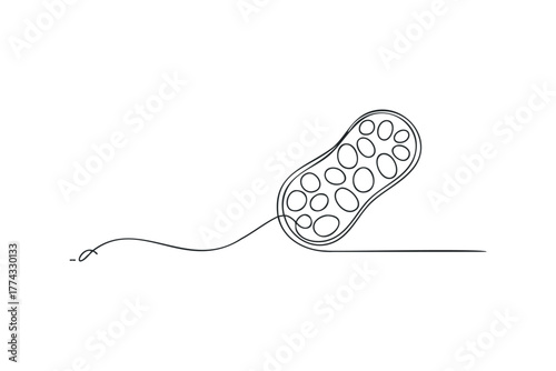 Microscopic bacterial cell with flagellum