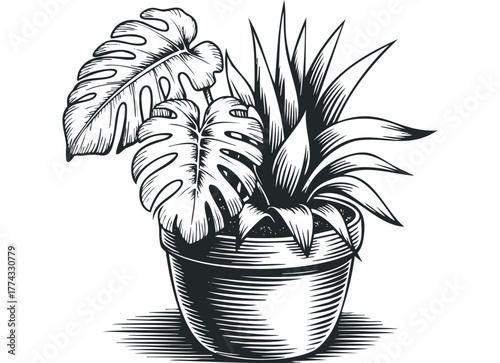 Potted Monstera and Succulent Plants in Sketch Style