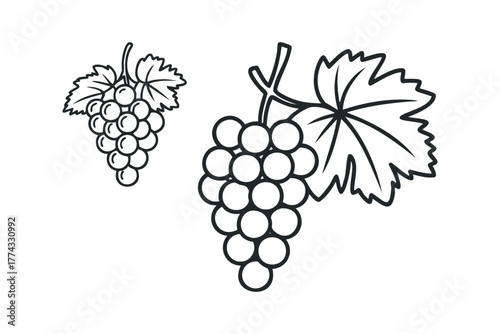Outline graphic of two bunches of grapes with leaves