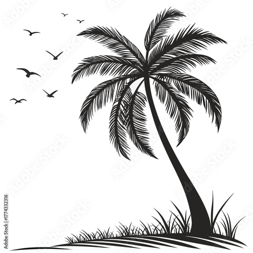 silhouette of palm trees