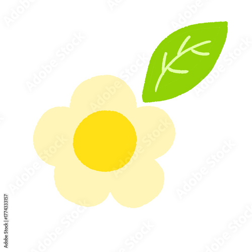 꽃