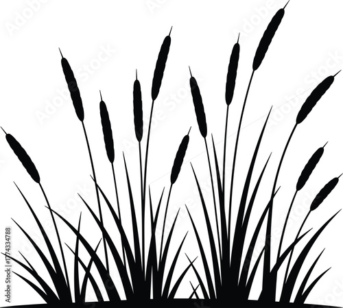 Cattail and Grass Silhouette Vector - Wetland Nature Plant Border Design