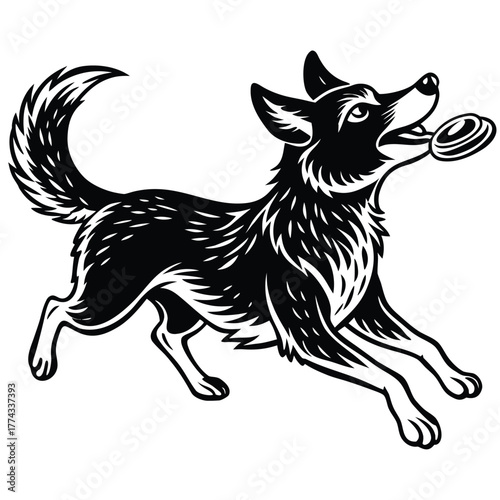 A dog catching a frisbee mid-air, illustrating play, fun, movement, and canine agility.