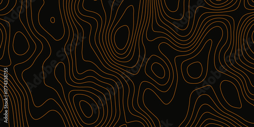 Topographic map background with geographic grid for hiking and mountain sport. luxury topographic wavy pattern and geographic grid map design. paper texture Imitation of a geographical map shade.