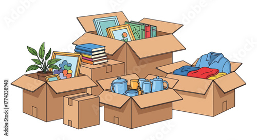 Boxes filled with books plants kitchenware and clothing items