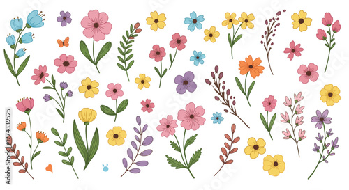 A colorful assortment of wildflowers and a butterfly on white background