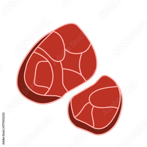 raw meat vector illustration