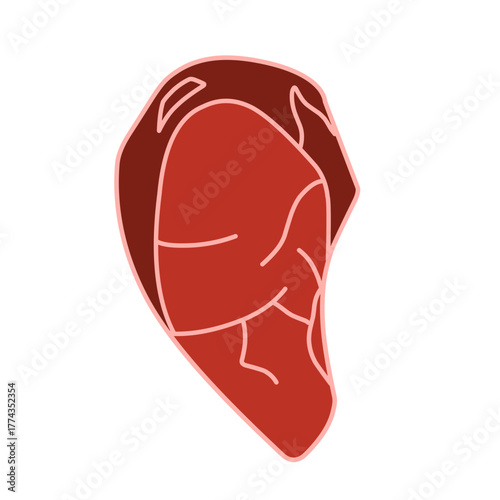 raw meat vector illustration