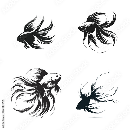 Four Black and White Betta Fish Illustration