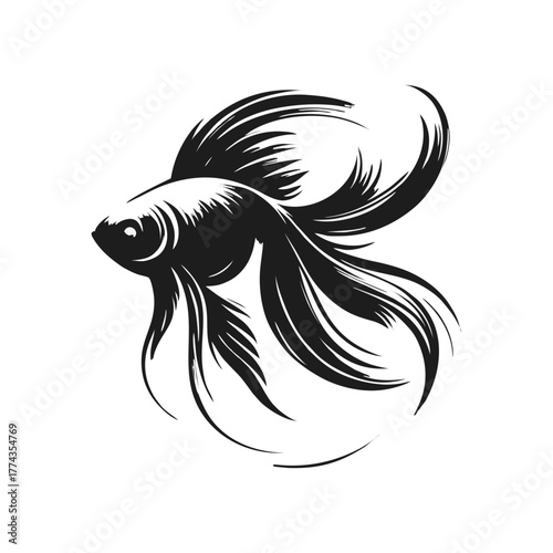 Betta Fish Elegant Vector Illustration