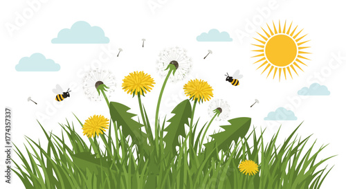 Illustration of dandelions in a grassy field with bees, clouds, and a bright sun.