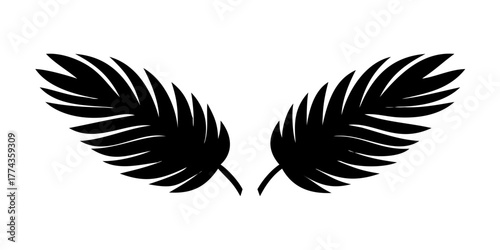 silhouette of twin palms leaf on white background.