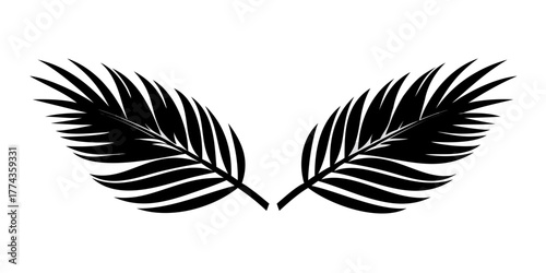 silhouette of twin palms leaf on white background.
