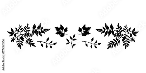 branches leaves silhouette set.