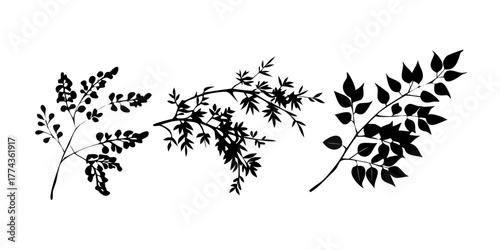 branches leaves silhouette set.