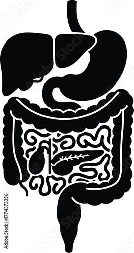 Human digestive system vector illustration icon, silhouette 