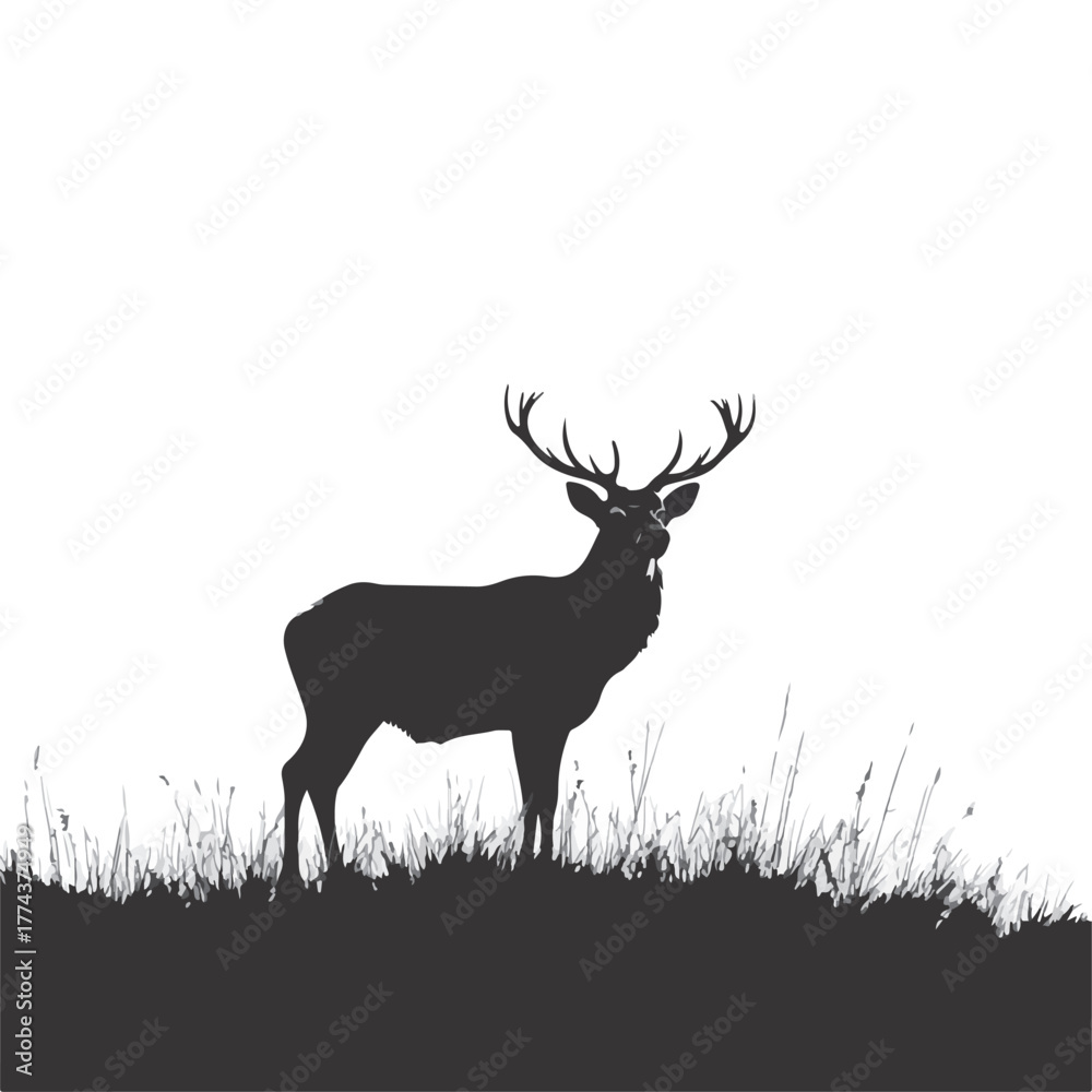Obraz premium deer silhouette, wild deer,