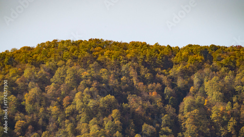 Принти на полотні Autumn green hill and blue sky