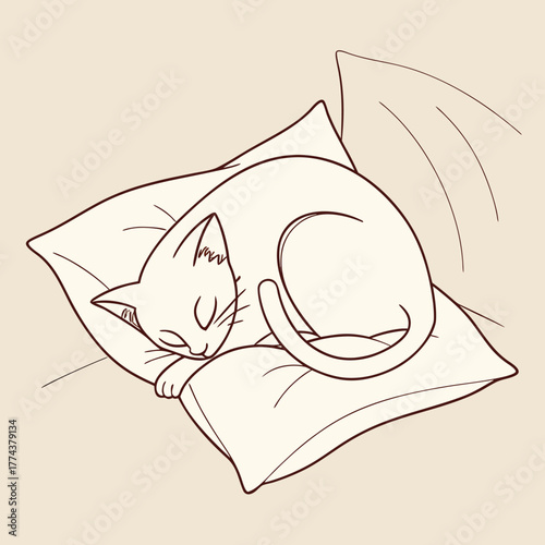 hand drawn vector illustration of a cat