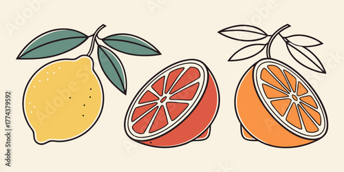 Juicy Orange Vector Set – Citrus Fruit Icons"