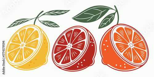 Juicy Orange Vector Set – Citrus Fruit Icons"