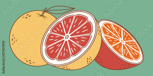Juicy Orange Vector Set – Citrus Fruit Icons"