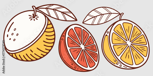 Juicy Orange Vector Set – Citrus Fruit Icons"