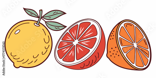Juicy Orange Vector Set – Citrus Fruit Icons"