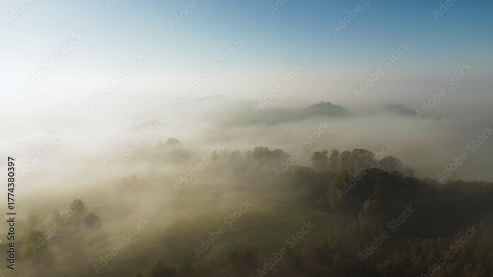 Fototapeta premium Foggy morning landscape with vibrant autumn colors