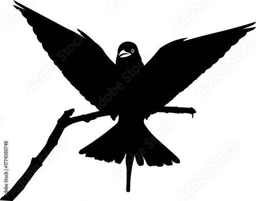 Singing Bird on Branch Silhouette
