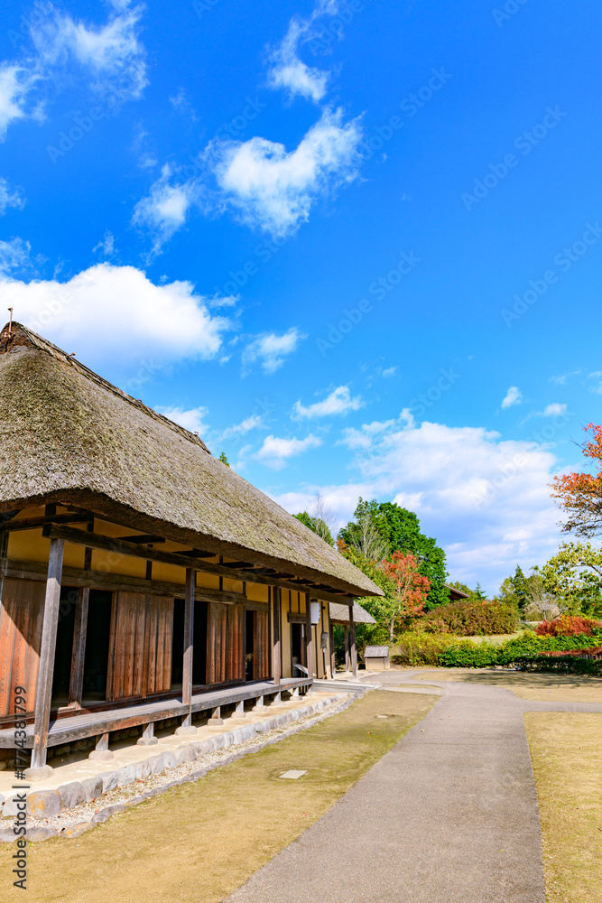 Fototapeta premium 秋 みちのく湖畔公園 紅葉とコキアと古民家 