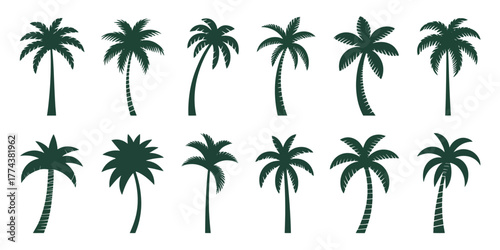 Tropical vibes with palm trees, perfect for summer designs and beach themes, bring the island life to your projects with this silhouette collection