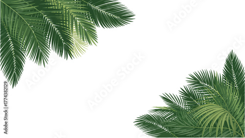 Tropical paradise awaits with lush green palm fronds, perfect for summer vibes and exotic designs, adding a touch of nature's beauty and peaceful serenity