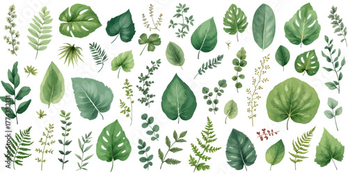 Botanical bliss with watercolor leaves, create a fresh and natural design for invitations, cards, or branding with these verdant foliage elements