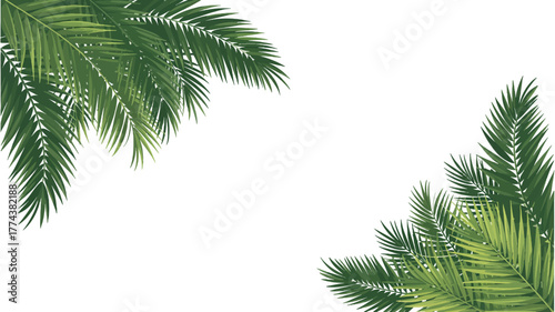 Vibrant palm leaves frame with tropical summer vibes inviting relaxation and vacation planning, perfect for travel blogs and beach themed designs, light and airy feel