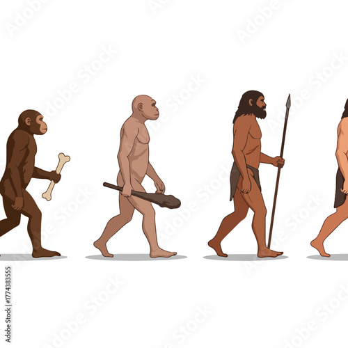 Illustration of human evolution stages, primate to modern man, evolutionary development sequence