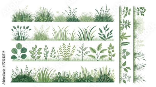 Green grass and plant border vector set. Hand drawn nature elements for landscape, garden, and eco design.