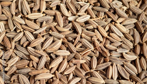 Fototapeta Naklejka Na Ścianę i Meble -  Close up cumin seeds showing natural aromatic spice texture and organic food detail