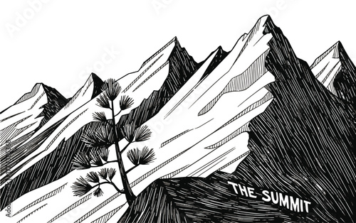 Black and white illustration of a lone pine tree on a mountain peak Keywords: mountain, peak, summit, tree, pine, nature, landscape, illustration
