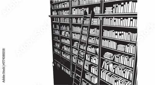 Towering bookshelves filled with knowledge, a ladder inviting exploration