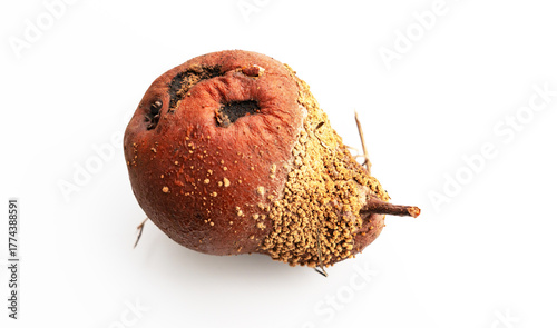Faule Birne